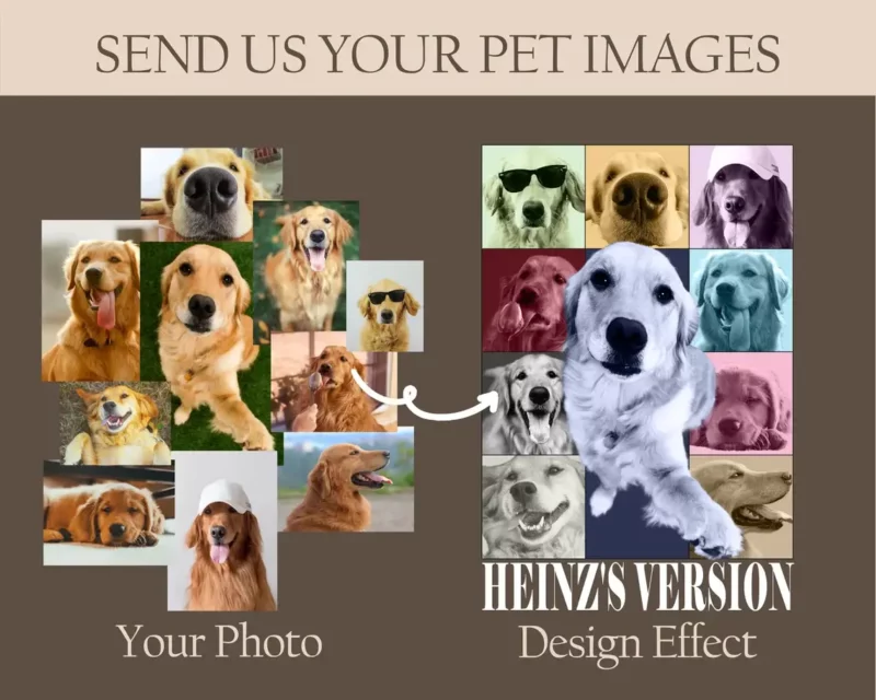 send us your image (1) your pet